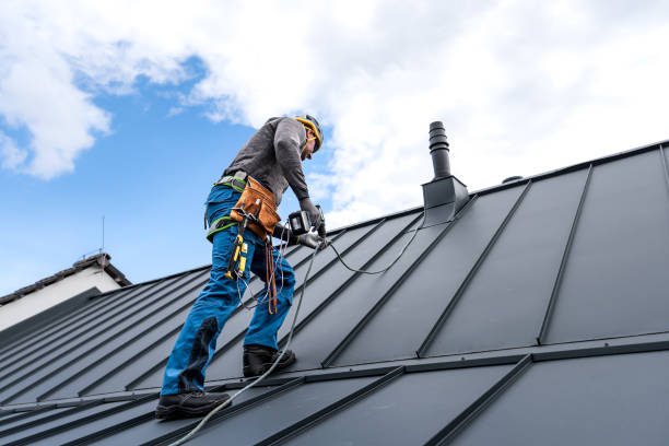 Best Sheet Metal Roofing  in Sykesville, MD